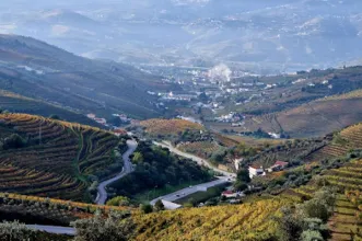 Ponto de Interesse - Miradouro D'Ouro Vivo  - Santa Marta de Penaguião   | Santa Marta de Penaguião| Douro