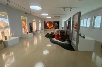 Local - Museu da Pedra - Cantanhede| Cantanhede| Região de Coimbra