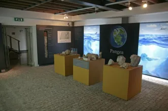 Local - Museu da Pedra - Cantanhede| Cantanhede| Região de Coimbra