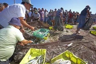 Local - Praia da Vagueira - Gafanha da Boa Hora| Vagos| Região de Aveiro