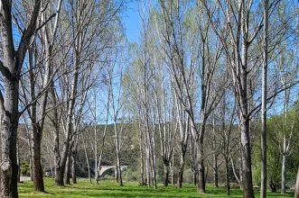 Ponto de Interesse - Praia Fluvial de Cambas - Oleiros | Cambas | Oleiros| Beira Baixa