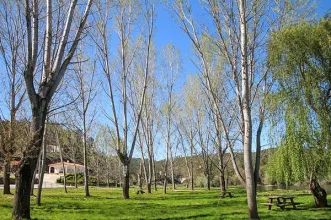 Ponto de Interesse - Praia Fluvial de Cambas - Oleiros | Cambas | Oleiros| Beira Baixa