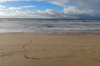 Local -  Praia Grande de Sintra - Sintra| Sintra| Área Metropolitana de Lisboa