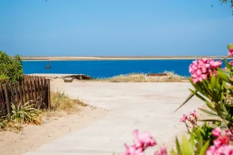 Local - Praia da Ilha do Farol - Ilha do Farol | Faro| Faro| Algarve