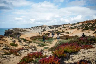 Local - Cabo Sardão - São Teotónio| Odemira| Alentejo Litoral