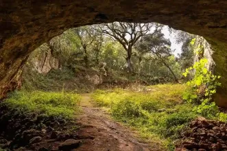 Parceiro - Município de Ferreira do Zêzere