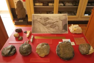 Local - Museu Geológico de Lisboa - Lisboa| Lisboa| Área Metropolitana de Lisboa