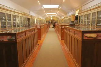 Local - Museu Geológico de Lisboa - Lisboa| Lisboa| Área Metropolitana de Lisboa