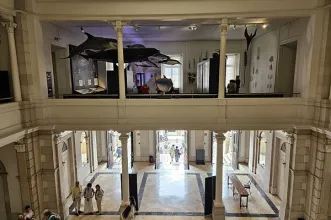 Local - Museu Nacional de História Natural e da Ciência - Lisboa| Lisboa| Área Metropolitana de Lisboa