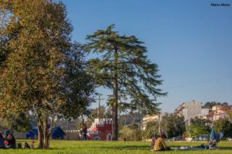 Ponto de Interesse - Parque da Alta Vila - Águeda| Águeda| Região de Aveiro