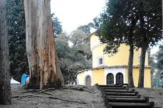 Local - Parque Silva Porto / Mata de Benfica - Benfica| Lisboa| Área Metropolitana de Lisboa