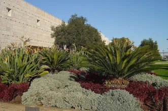 Local - Centro Cultural de Belém - Belém | Lisboa| Área Metropolitana de Lisboa