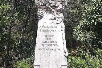 Local - Ferreira Lapa - Alcântara| Lisboa| Área Metropolitana de Lisboa