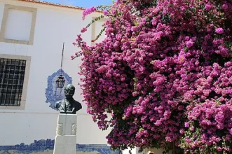 Local - Busto de Júlio de Castilho - Santa Maria Maior| Lisboa| Área Metropolitana de Lisboa