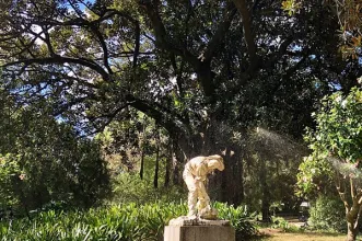 Local - O Cavador - Estrela| Lisboa| Área Metropolitana de Lisboa