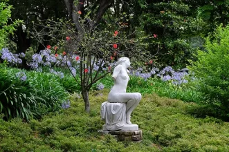 Local - Despertar ou A Preguiça - Estrela| Lisboa| Área Metropolitana de Lisboa