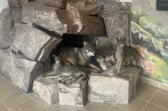 Local - Parque Ibérico de Natureza e Aventura – PINTA - Vimioso| Vimioso| Terras de Trás-os-Montes