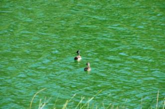 Point of Interest - Lagoa de Valado dos Frades - Valado dos Frades| Nazaré| Oeste