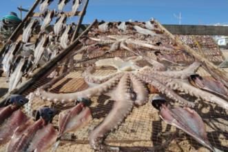 Ponto de Interesse - Museu Peixe Seco – Museu Vivo - Nazaré| Nazaré| Oeste