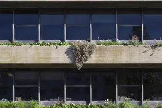 Local - Edifício-Sede e Parque da Fundação Calouste Gulbenkian - Avenidas Novas| Lisboa| Área Metropolitana de Lisboa