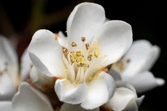 Local - Edifício-Sede e Parque da Fundação Calouste Gulbenkian - Avenidas Novas| Lisboa| Área Metropolitana de Lisboa
