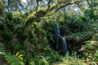Local - Palácio de Monserrate - Sintra| Sintra| Área Metropolitana de Lisboa