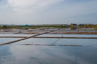 Local - Salinas de Aveiro - Aveiro| Aveiro| Região de Aveiro