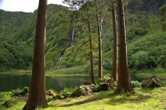 Local - Poço da Ribeira do Ferreiro (Poço da Alagoinha) - Freguesia da Fajã Grande| Lajes Das Flores| Região Autónoma dos Açores