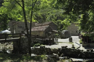 Local - Bulnes - Cabrales| Asturias