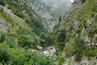 Local - Desfiladeiro da Hermida - Peñarrubia| Cantabria