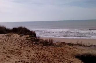 Local - Costa Maneli - Palos de la Frontera| Huelva