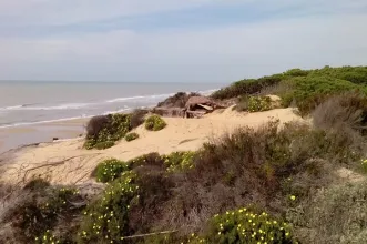 Local - Costa Maneli - Palos de la Frontera| Huelva