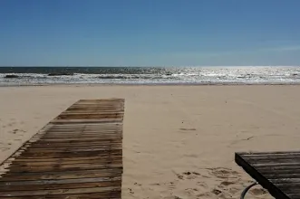 Local - Praia Matalascañas - Almonte| Huelva