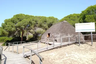 Local - Aldeia de La Plancha - Almonte| Huelva