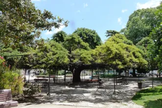 Local - Jardim do Príncipe Real - Misericórdia| Lisboa| Área Metropolitana de Lisboa