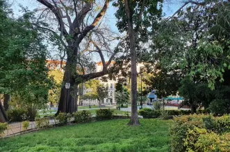 Local - Jardim Alfredo Keil / Jardim da Praça da Alegria - Santo António| Lisboa| Área Metropolitana de Lisboa