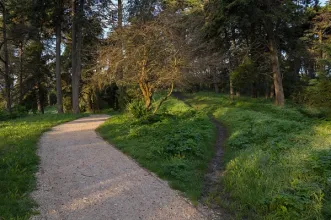 Local - Parque Florestal de Monsanto - Ajuda| Lisboa| Área Metropolitana de Lisboa
