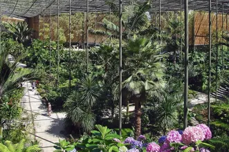 Point of Interest - Estufa Fria - Avenidas Novas| Lisboa| Área Metropolitana de Lisboa