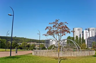 Local - Jardins de Campolide - Campolide| Lisboa| Área Metropolitana de Lisboa