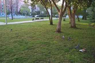 Local - Jardim Irmã Lúcia - Areeiro| Lisboa| Área Metropolitana de Lisboa