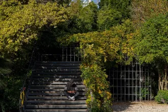 Local - Jardim Garcia de Orta - Parque das Nações| Lisboa| Área Metropolitana de Lisboa