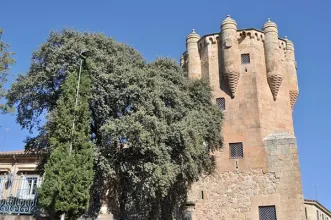 Local - Torre del Clavero - Salamanca| Salamanca