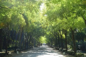 Local - Parque Maria Luísa - Sevilla| Sevilla