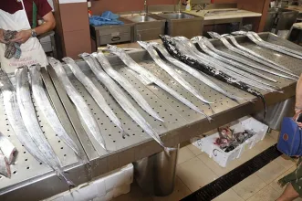 Local - Mercado Municipal de Loulé  - Loulé| Loulé| Algarve