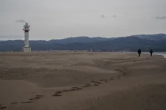 Local - Punta del Fangar - Deltebre| Tarragona