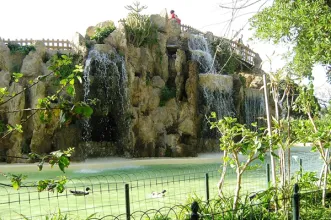 Local - Parque Genovés - Cádiz| Cádiz