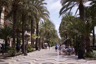 Local - Passeio da Esplanada de Espanha - Alacant/Alicante| Alicante/Alacant