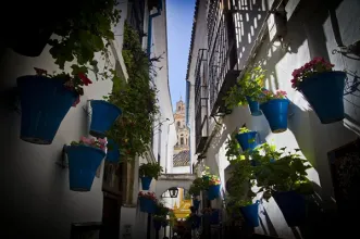 Local - Calleja de las Flores - Córdoba| Córdoba