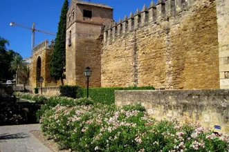 Local - Puerta de Almodóvar - Córdoba| Córdoba