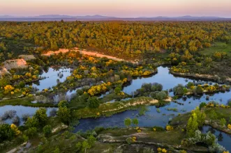 Local - Rewilding Portugal - Pinhel| Guarda| Beiras e Serra da Estrela